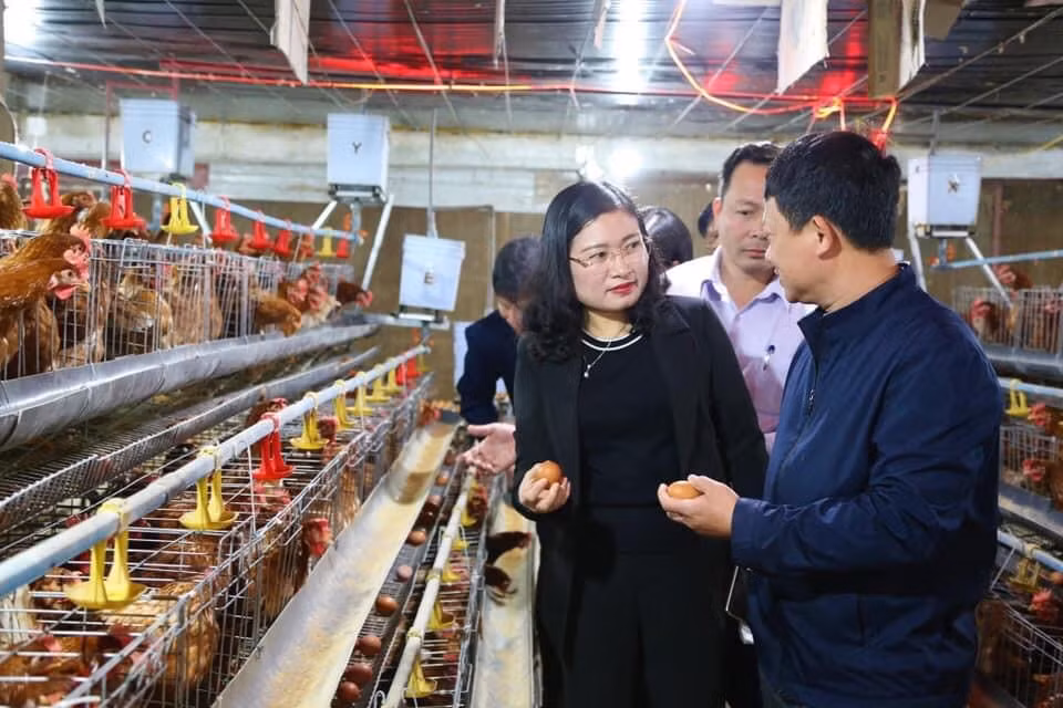 Lãnh đạo huyện Thạch Hà (Hà Tĩnh) kiểm tra mô hình chăn nuôi tại xã nông thôn mới kiểu mẫu