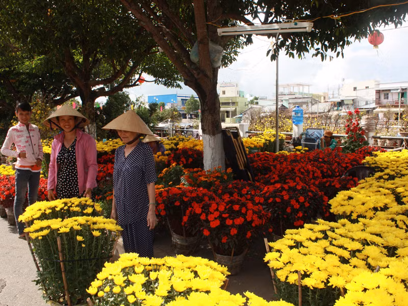 Chợ hoa Tết tại Cần Thơ