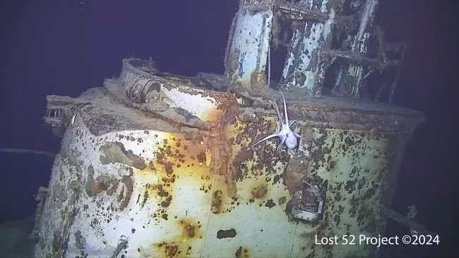 Một con bạch tuộc trên tháp chỉ huy của xác tàu ngầm Mỹ USS Harder, bị chìm gần Philippines năm 1944 sau trận chiến với tàu khu trục Nhật Bản. (Nguồn hình ảnh: Dự án Lost 52)