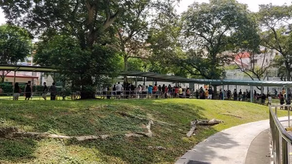 Cha mẹ ở Singapore cũng đứng đông đảo bên ngoài cổng trường để ngóng con. Ảnh: Twitter.