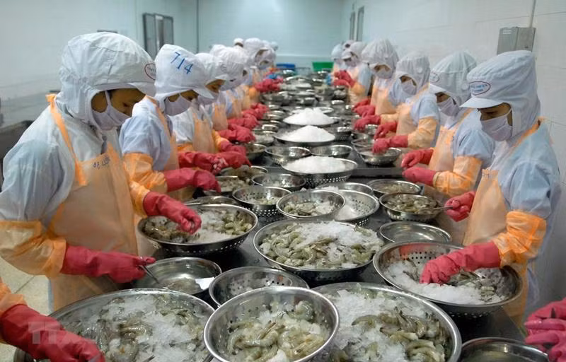 Các doanh nghiệp đang tìm cách đa dạng hóa thị trường để giảm thiểu rủi ro.