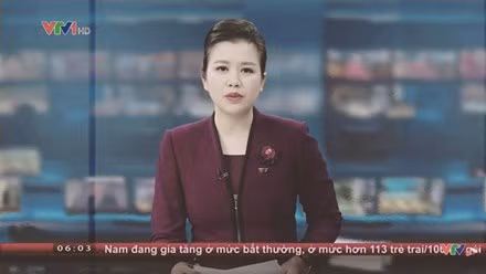 Các biên tập viên đình đám rời VTV giờ làm gì? ảnh 6