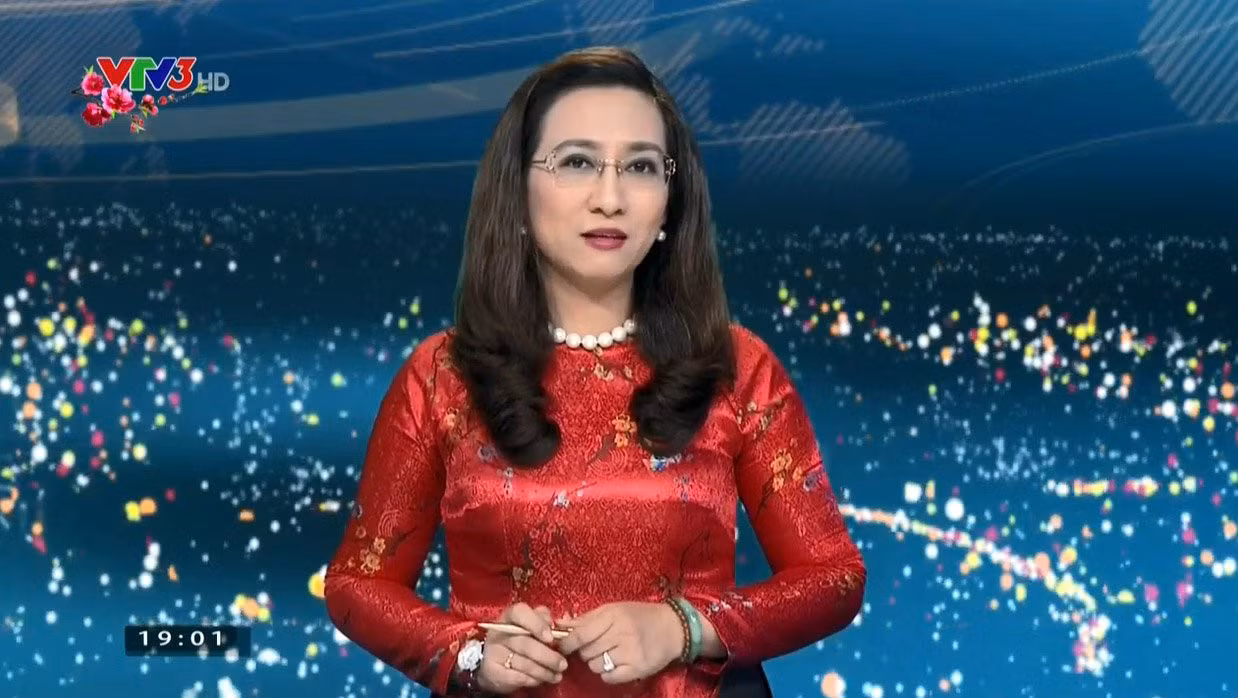 Các biên tập viên đình đám rời VTV giờ làm gì? ảnh 1