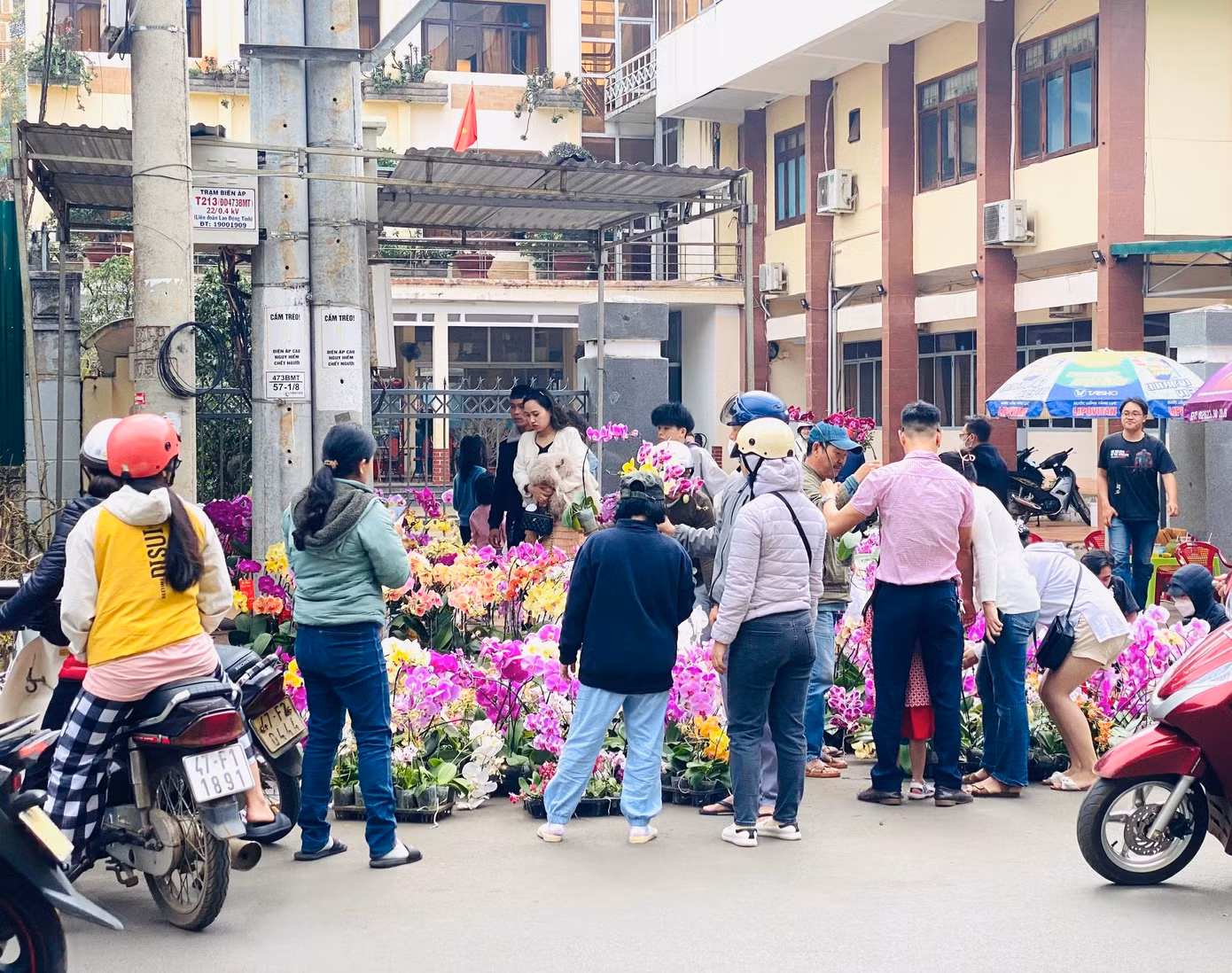 Rất đông người dân tập trung mua hoa lan sau khi hạ giá bán
