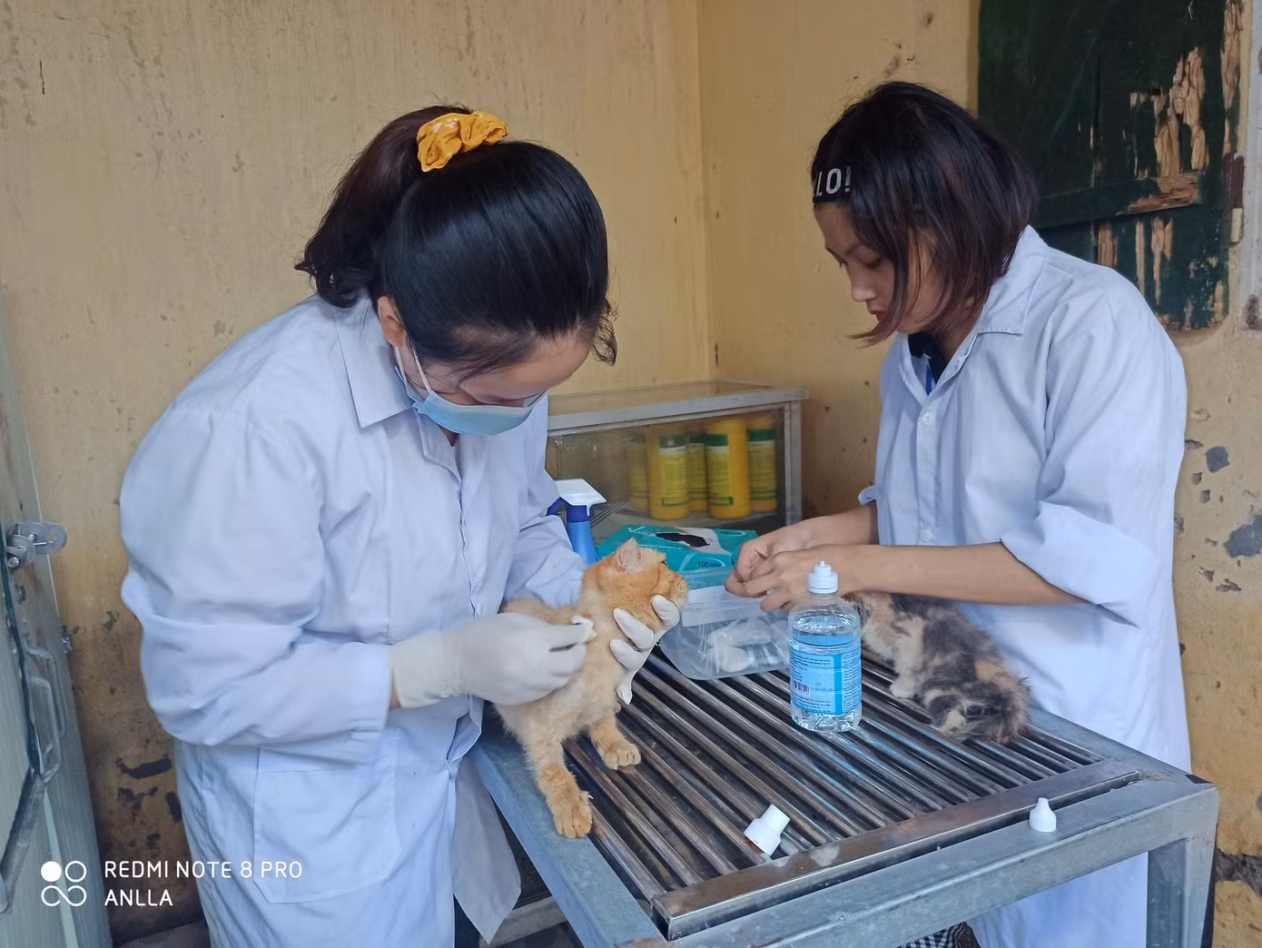 Trạm cứu hộ động vật phi lợi nhuận của 25 bạn trẻ ảnh 1
