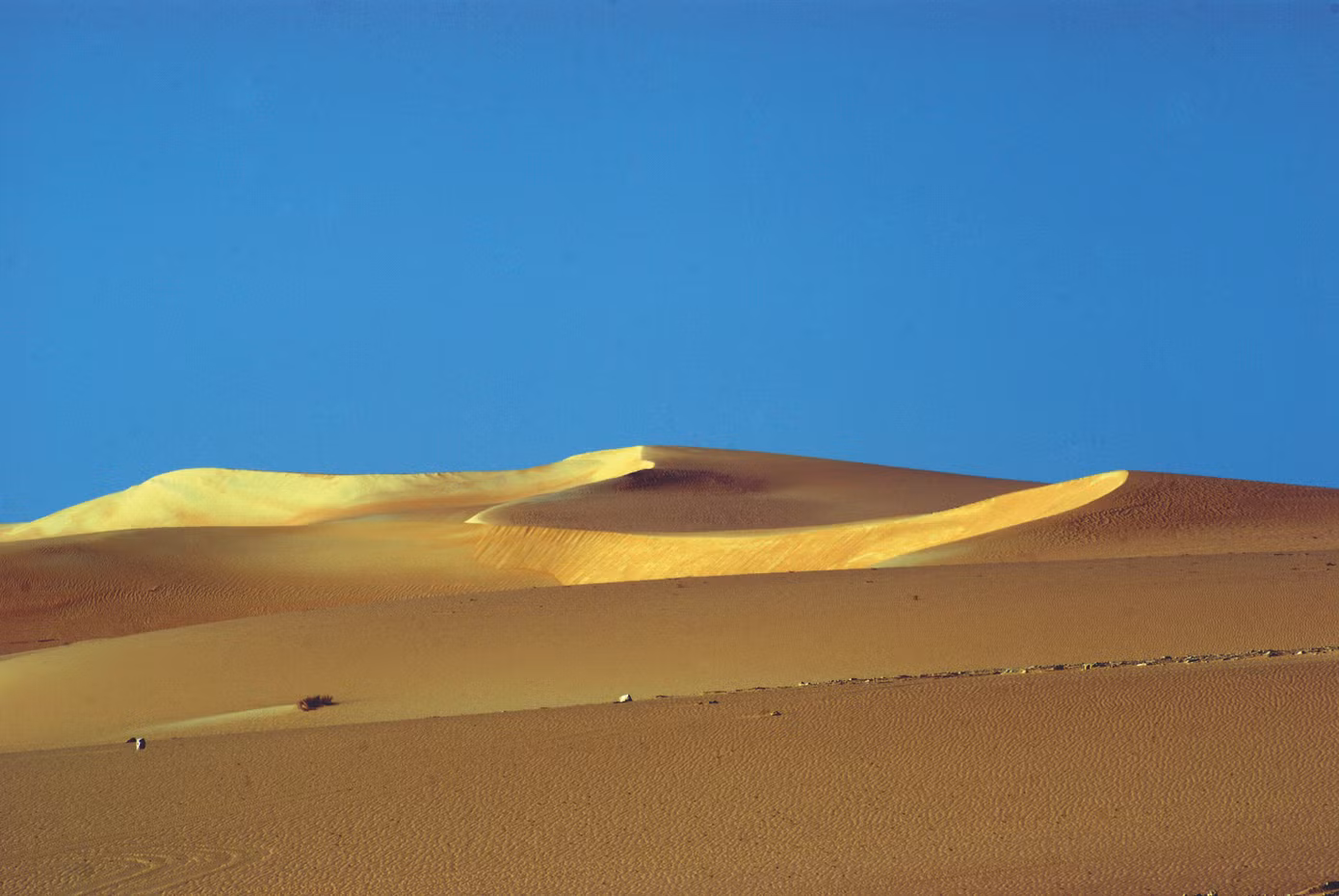 Đi xuyên sa mạc Sahara để đến Siwa. Ảnh: Almad