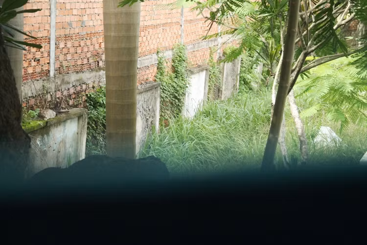 Bí ẩn trong khu mộ cổ giữa lòng Đất Thủ ảnh 7