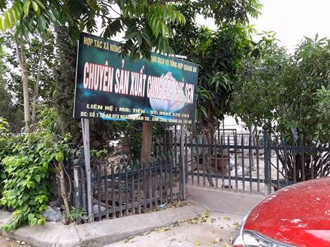 Ngang nhiên xây nhà trái phép trên hồ sen Đầm Trị ảnh 2