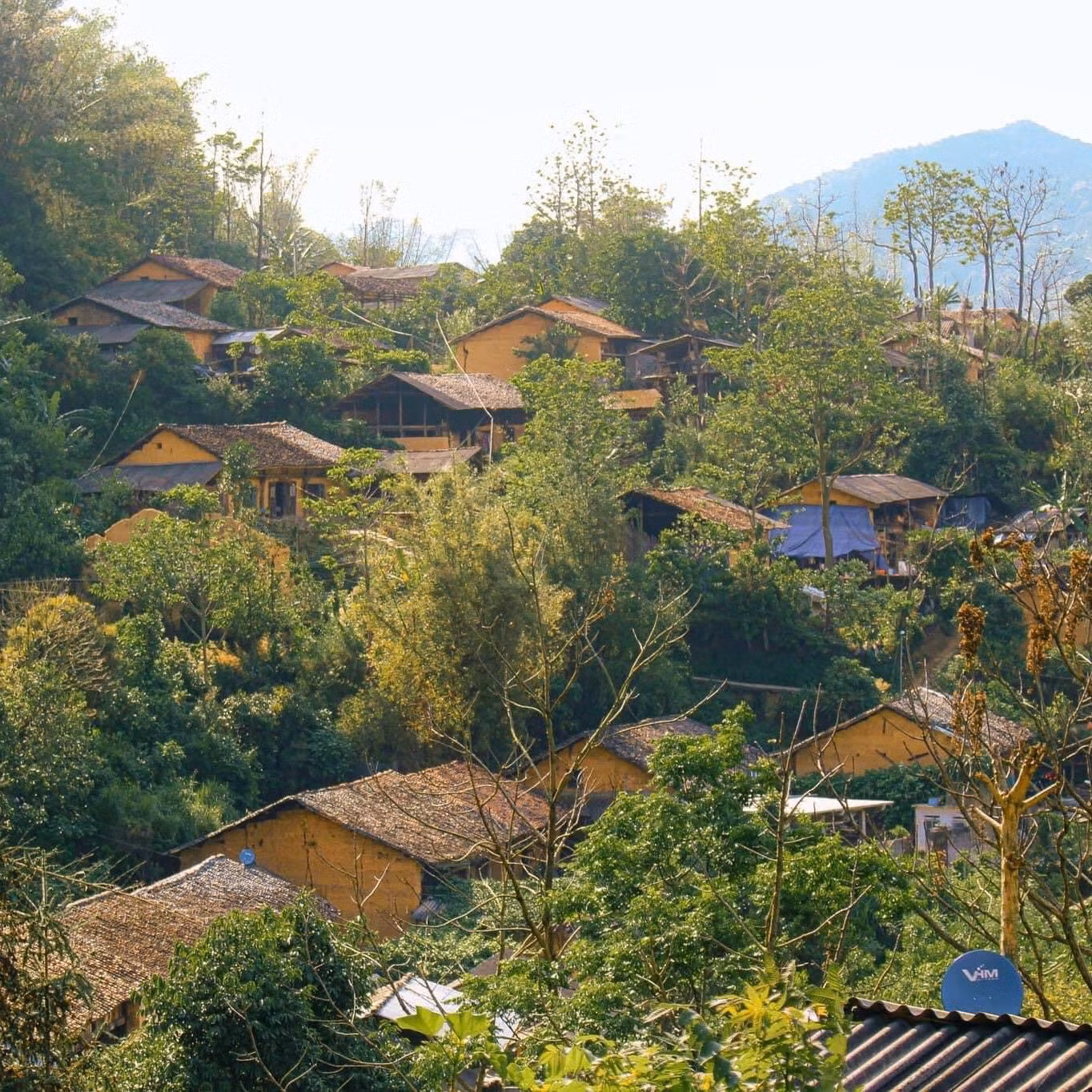 Làng cổ trăm tuổi có con đường nhỏ, có những căn nhà trình tường và mái ngói, cây cối xanh tươi… Nhìn đâu đâu cũng thấy bình yên, dịu dàng đến lạ. Ảnh: VAN HNI