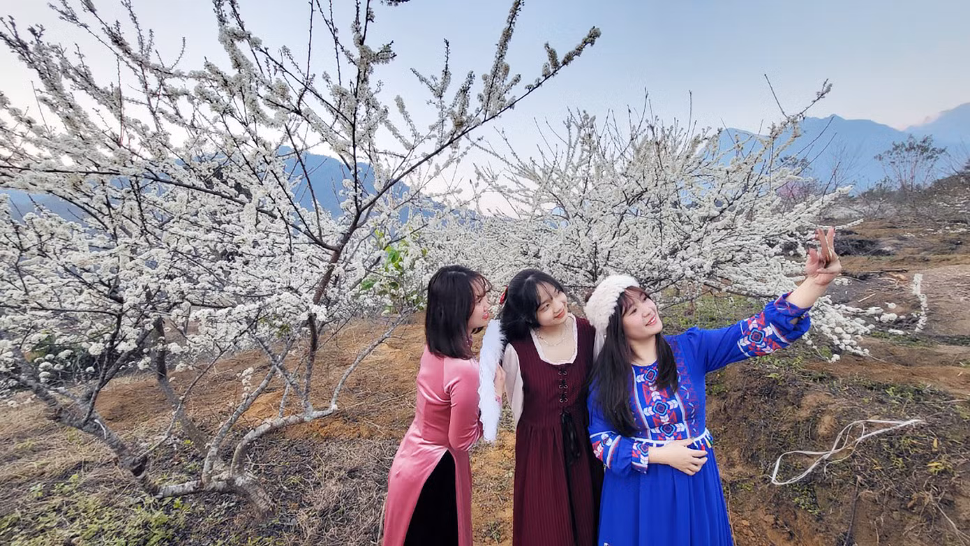 Nhóm bạn trẻ Lê Thuỳ Linh từ TP. Lai Châu vượt quãng đường gần 20 km đến thung lũng hoa mận trắng tại huyện Tam Đường – Lai Châu, với mong muốn được ngắm nhìn những chùm hoa nở trắng tinh.