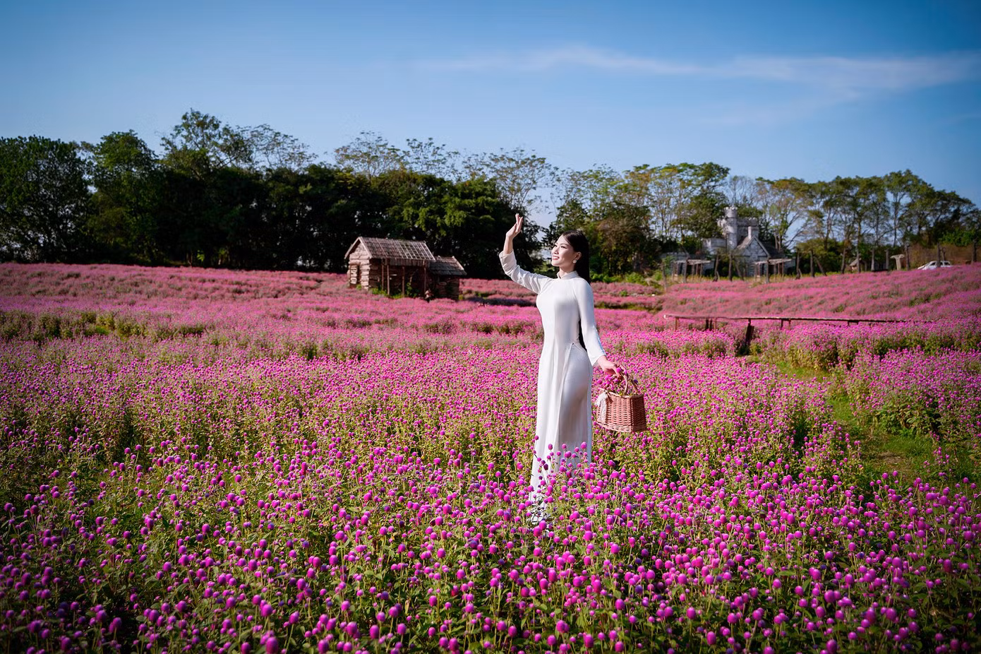Thời tiết rét đậm cuối Đông cũng không ngăn được những cánh hoa đào, hoa cúc, hoa cải vàng, hoa bách nhật, hoa bướm… nở rộ khoe sắc trong gió Đông lạnh. Ngoài chụp hình, rất nhiều bạn trẻ mua được những bó hoa đủ chủng loại với giá gốc và nở những nụ cười mãn nguyện.