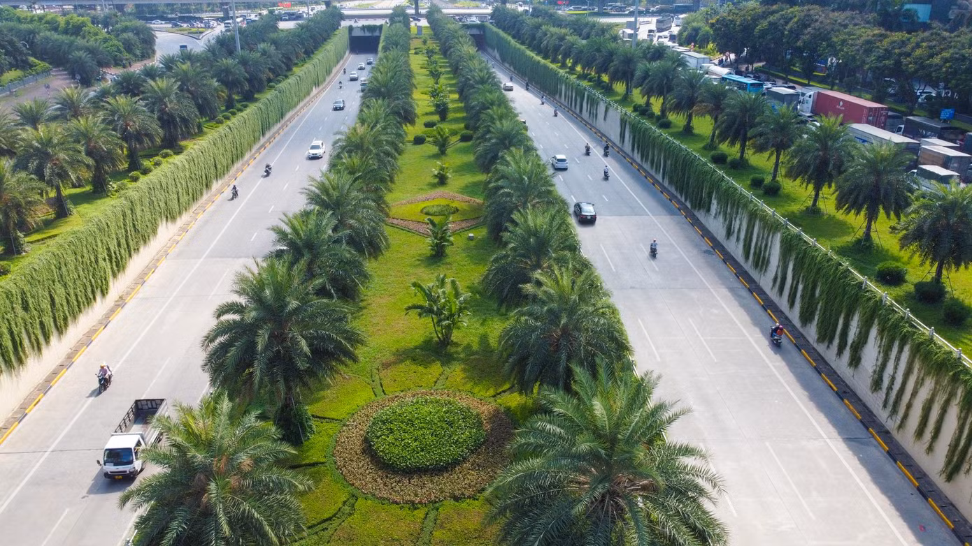 Hai bên đường hầm chui dài khoảng 200m được phủ xanh bởi hàng vạn cây cúc tần Ấn Độ.