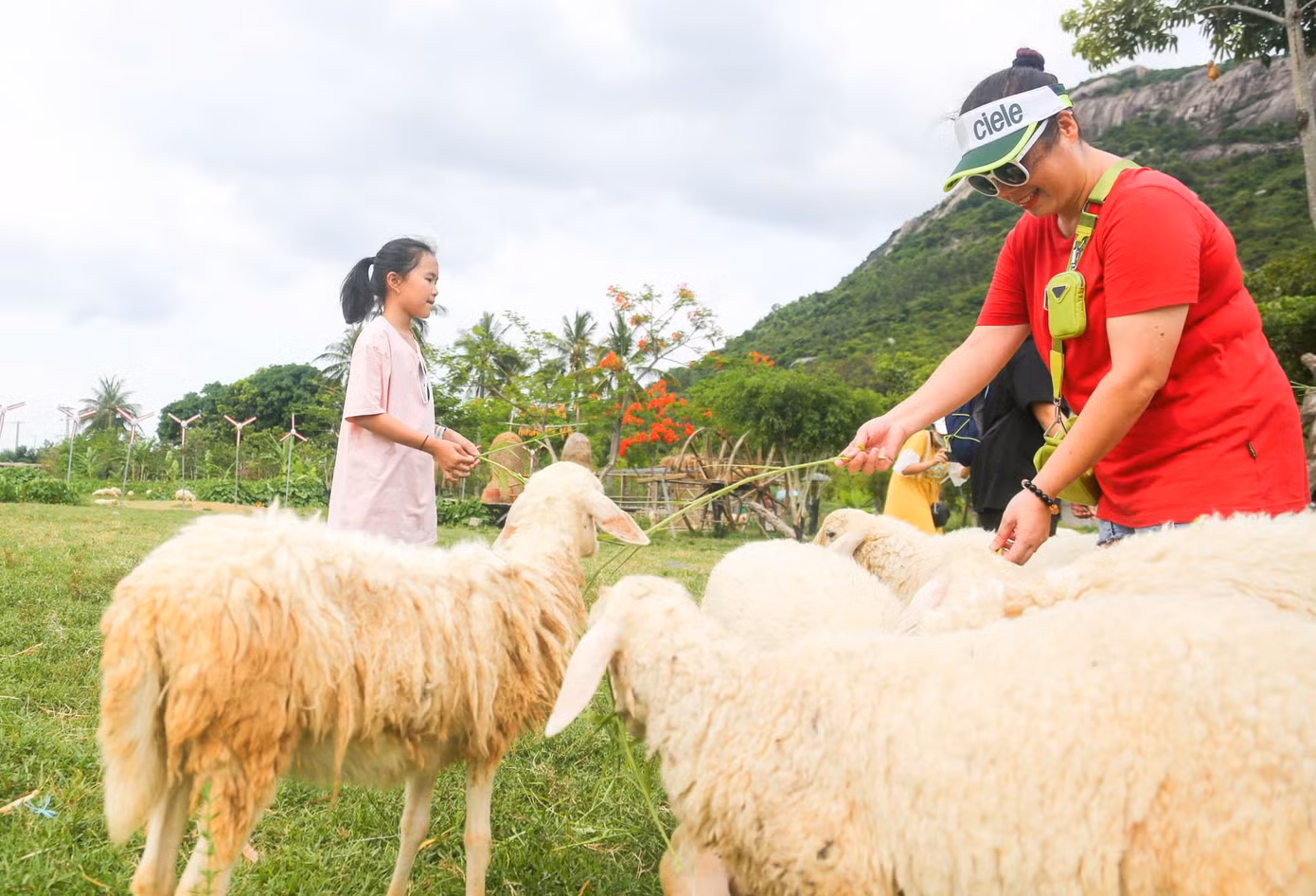 Không chỉ trẻ con, người lớn cũng hào hứng vui chơi cùng những con cừu.