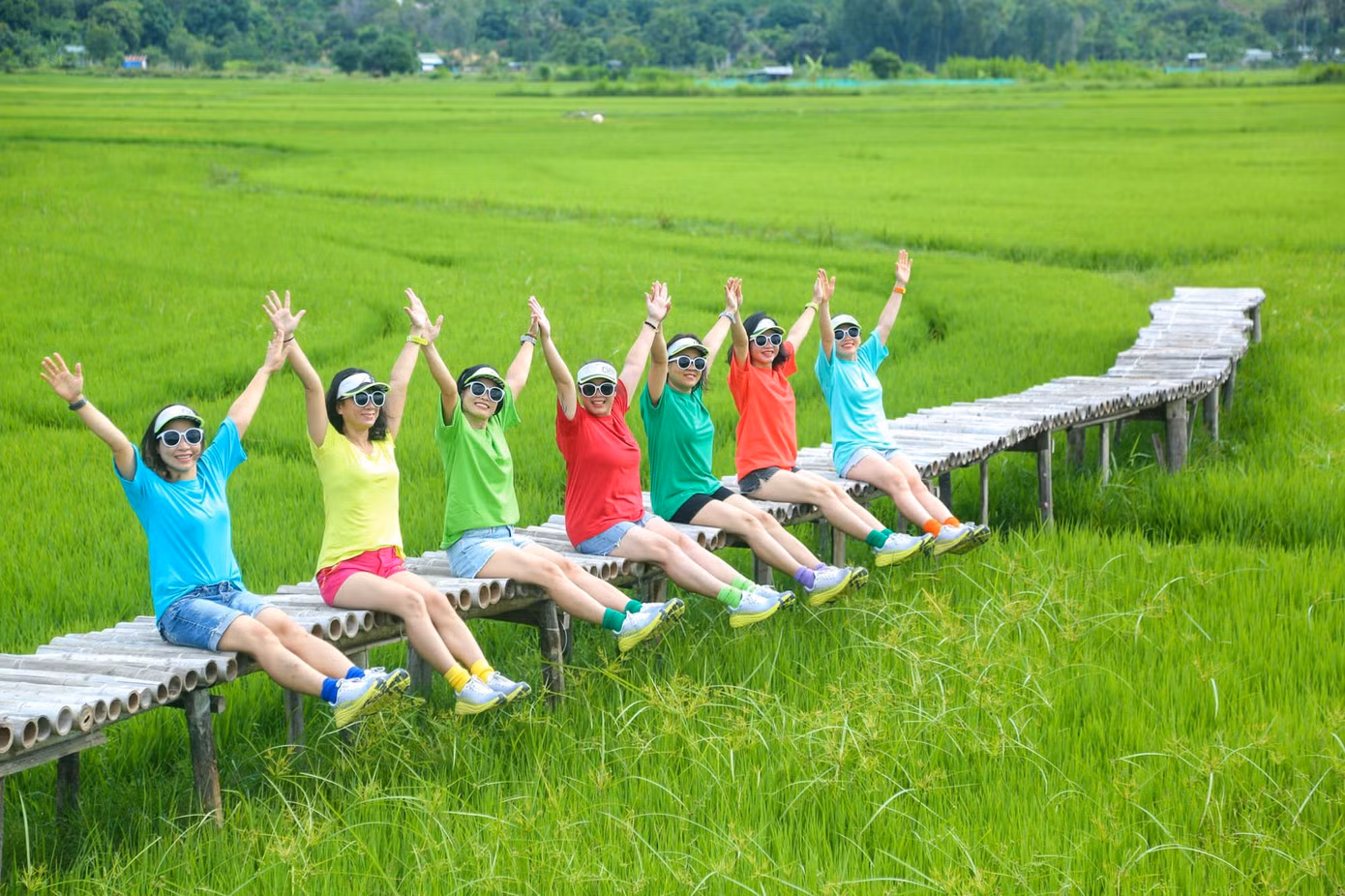 Những cánh đồng lúa xanh mướt bên cạnh đồng cừu cũng thu hút du khách "check-in".