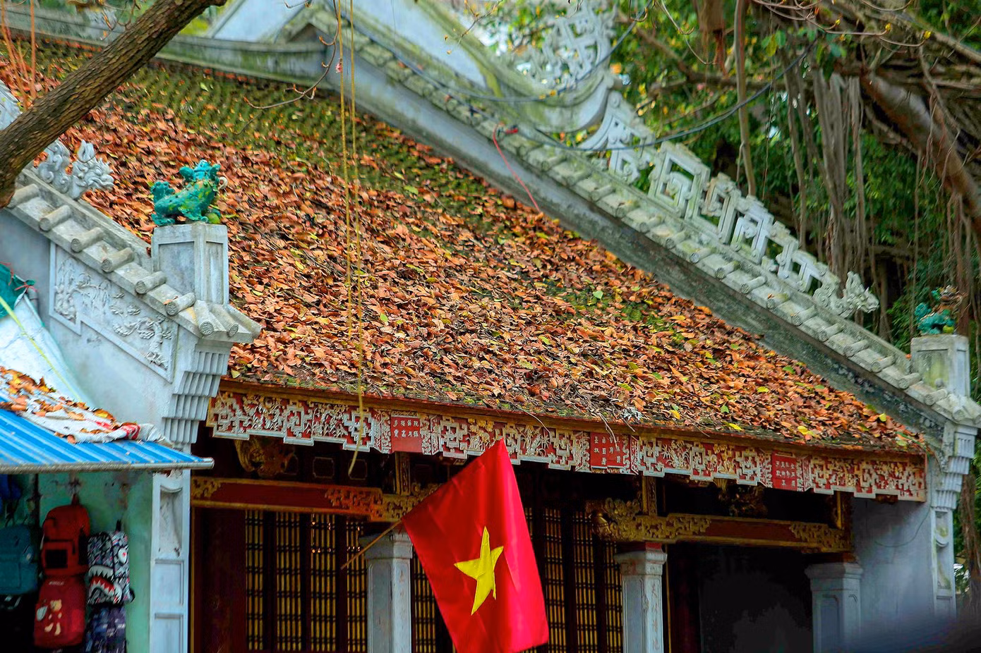 Hà Nội đẹp đến nao lòng mùa cây thay lá.