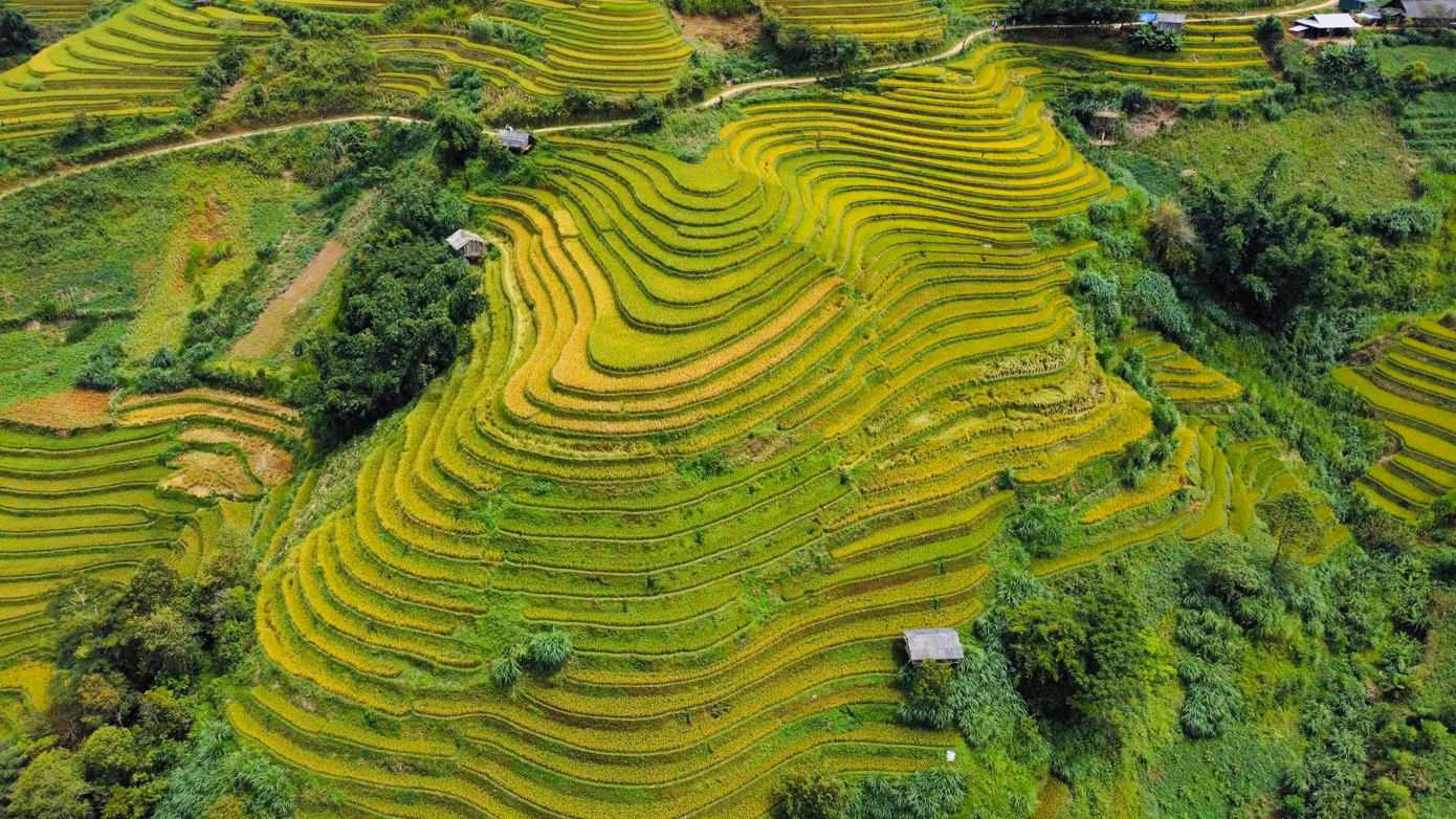 Ruộng bậc thang trùng trùng điệp điệp bao phủ khắp khung cảnh kéo dài từ sườn núi này qua sườn núi khác tạo nên một khung cảnh hùng vỹ, tuyệt đẹp.