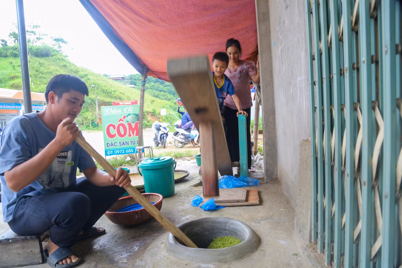 Người dân hái những bông lúa còn đẫm sương đêm, mang về tuốt, sau đó rang ngay, nếu để cách ngày mới rang thì hạt cốm không còn xanh ngon nữa.