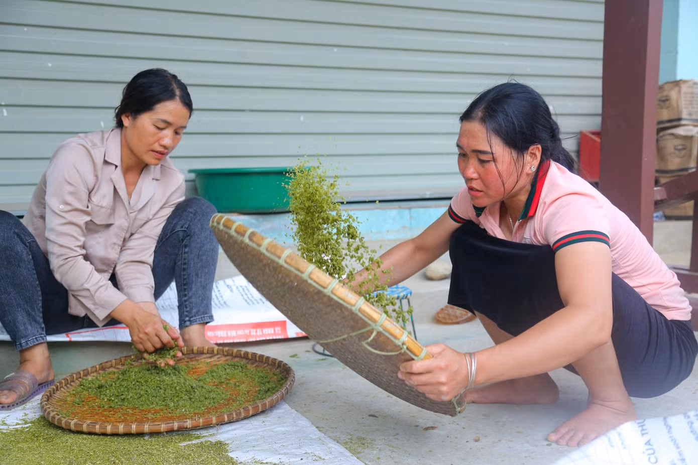 Nguyên liệu mà người dân Tú Lệ dùng làm cốm là giống gạo nếp Tan Lả, hạt to tròn, trắng trong