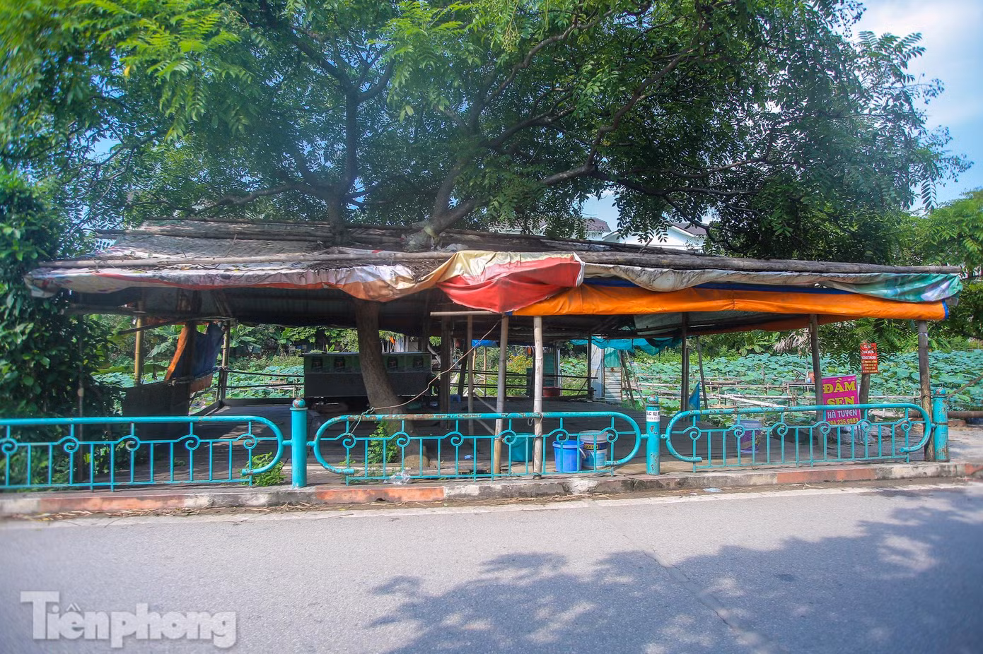 Khu ki-ốt dịch vụ "ăn theo" mùa sen đều hoang vắng vì không có khách.