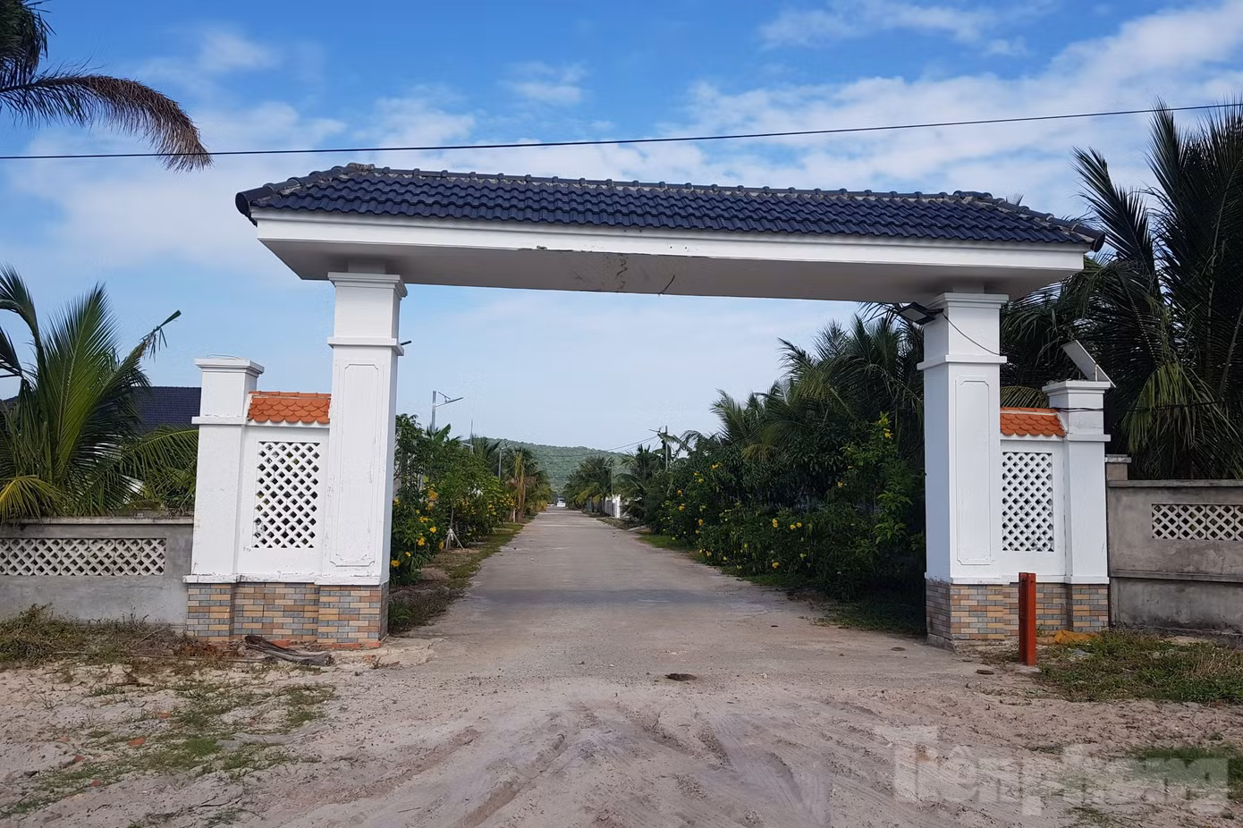Như Tiền Phong đã đưa tin, 79 căn biệt thự xây dựng trái phép nằm trong khu đất rộng 18,9 ha. Khu đất này trước đây là đất rừng phòng hộ, do UBND xã Dương Tơ quản lý. Tuy nhiên, hiện trạng nơi này đã thay đổi do nhiều tổ chức, cá nhân bao chiếm, thực hiện việc san lấp và xây dựng công trình nhà ở trái phép.