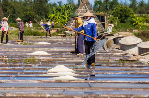 Hạt muối nhọc nhằn của diêm dân Nam Định ảnh 4