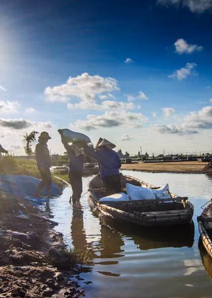 Hạt muối nhọc nhằn của diêm dân Nam Định ảnh 15