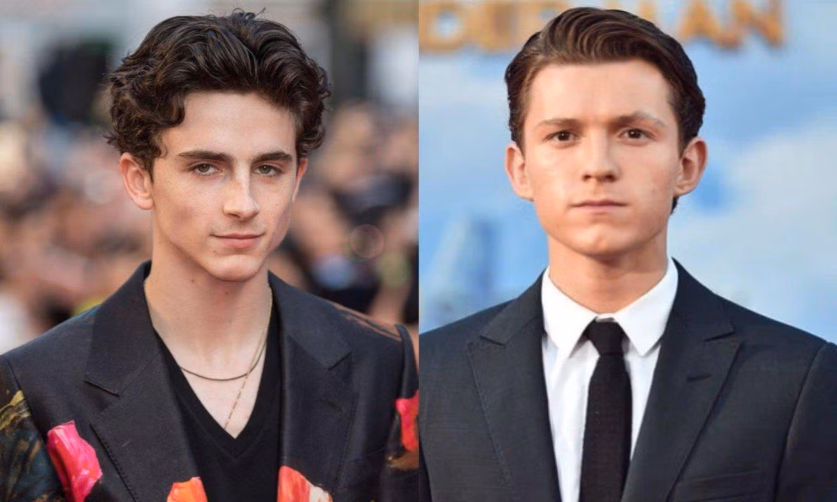 Timothée Chalamet từng là ứng cử viên cho Spider-Man. (Nguồn: Internet)