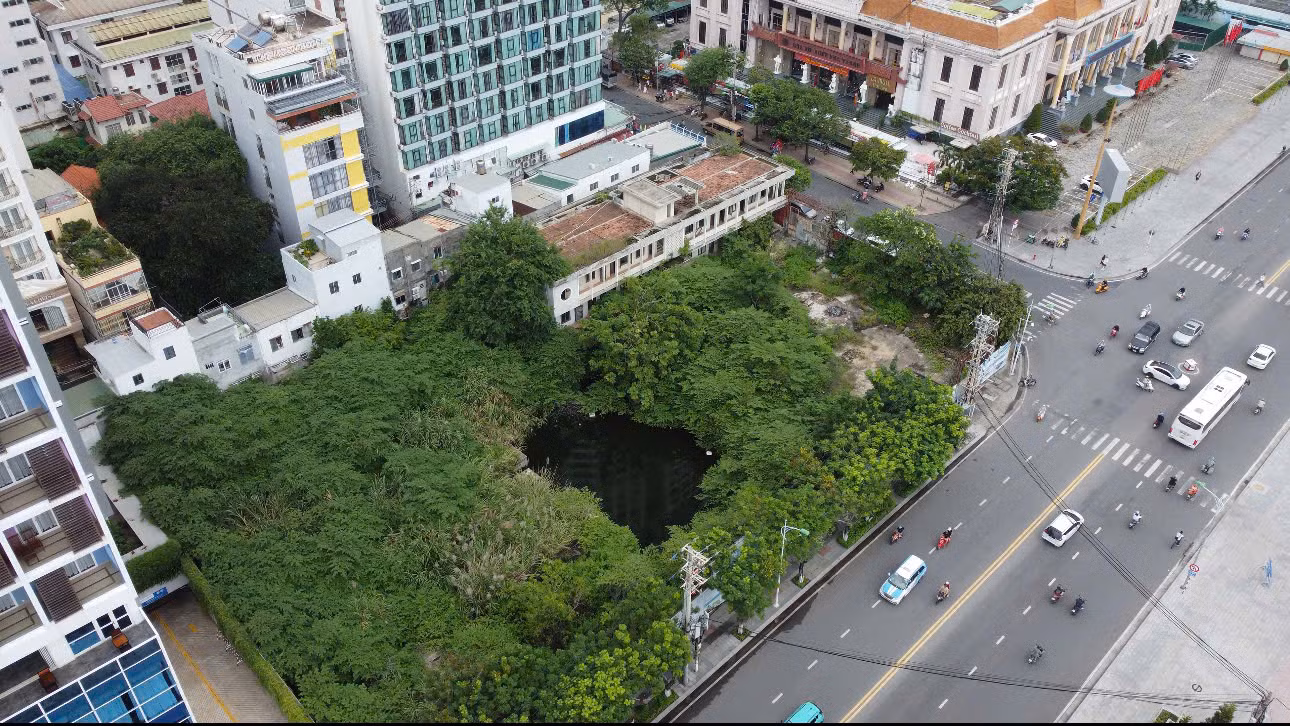 Bên trong khu đất cỏ dại mọc um tùm, ao tù nước đọng trông không khác gì "ao nuôi muỗi".