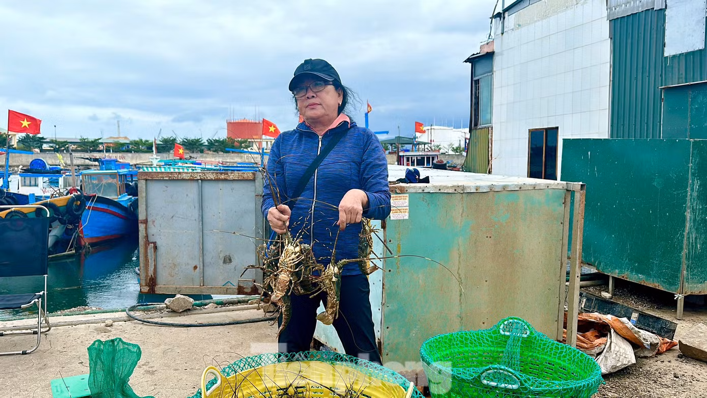 Bà Trịnh Thị Thu chán nản chia sẻ vụ nuôi rớt thảm đầu năm 2025.