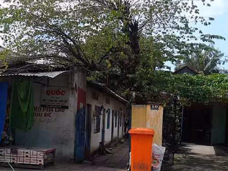 Có một điều tai hại mà hàng xóm của Lương vẫn không thể nào quên được là bản tính của cô bán bánh tét năm nào đã thay đổi hoàn toàn