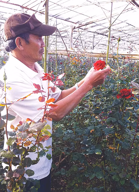 Nghệ nhân Nguyễn Công Hóa ở làng hoa Vạn Thành