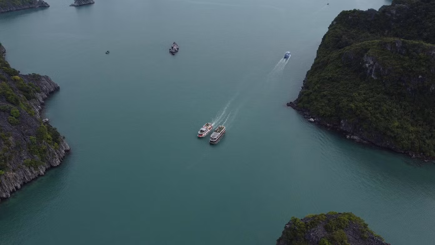 Dưới làn nước trong xanh là những bãi san hô nhiều mầu sắc như bãi Vạn Bội, Vạn Hà…Những vùng biển lặng nước như ở đảo Sến, đảo Cù, đảo Khỉ…chính là nơi du khách có thể lặn ngắm san hô.