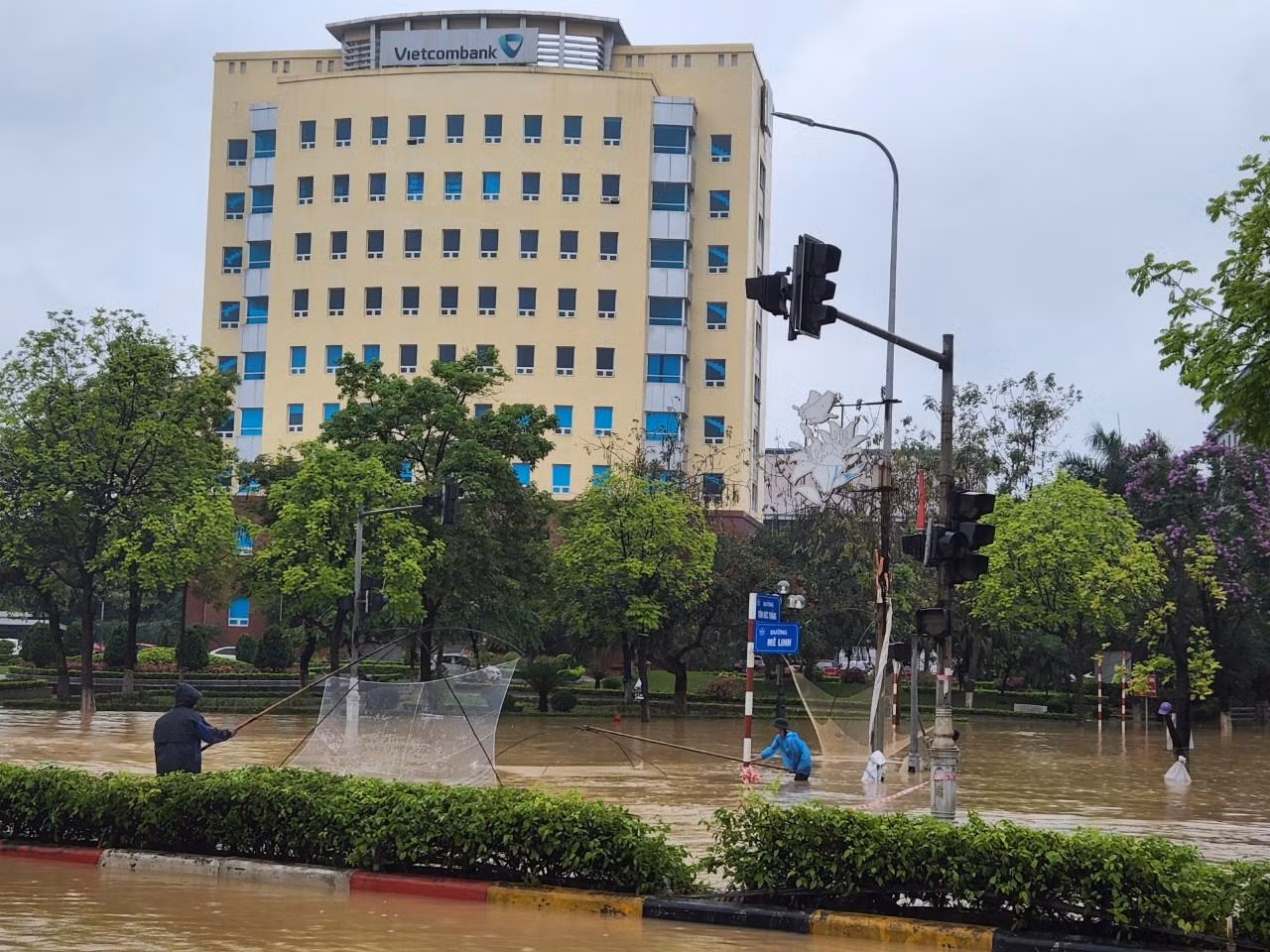Tại ngã tư Mê Linh - Tôn Đức Thắng (TP Vĩnh Yên) người dân mang lưới, túi ra đường bắt cá.