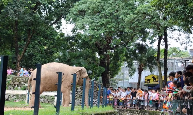 Công viên Thủ lệ hướng tới lượng khách bình dân của Thủ đô