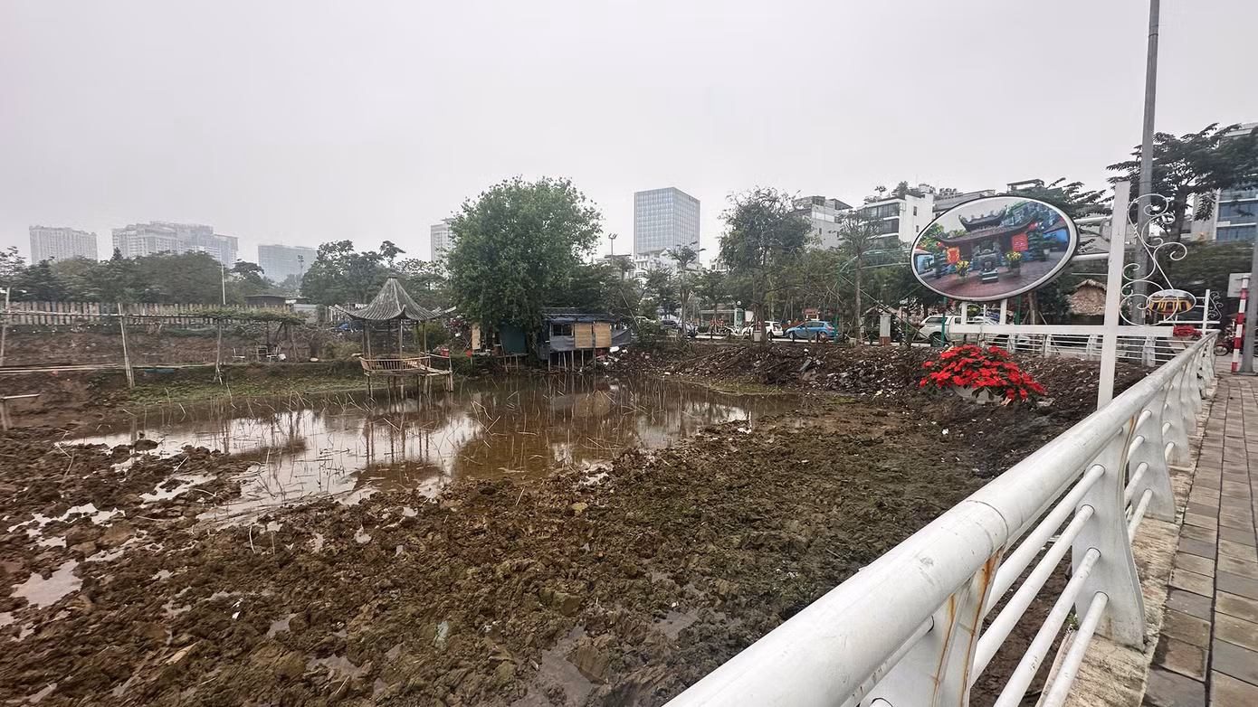 Đại diện UBND phường Nhật Tân cho biết, thông thường thời điểm này hồ Sen được rút cạn nước, đến tháng sau sẽ bơm lại để sen nở.