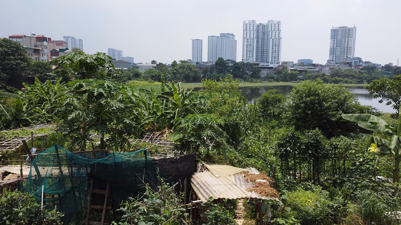 Có thể thấy sau nhiều chỉ đạo của lãnh đạo thành phố Hà Nội, việc lấn chiếm hồ tại các hồ lớn ở trên địa bàn phường Định Công không giảm mà còn có chiều hướng tăng lên.