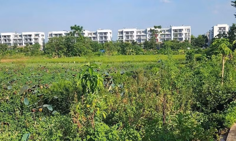 Dự án Đầu tư phát triển đô thị tại phường Hùng Vương. Ảnh: Văn Nhất
