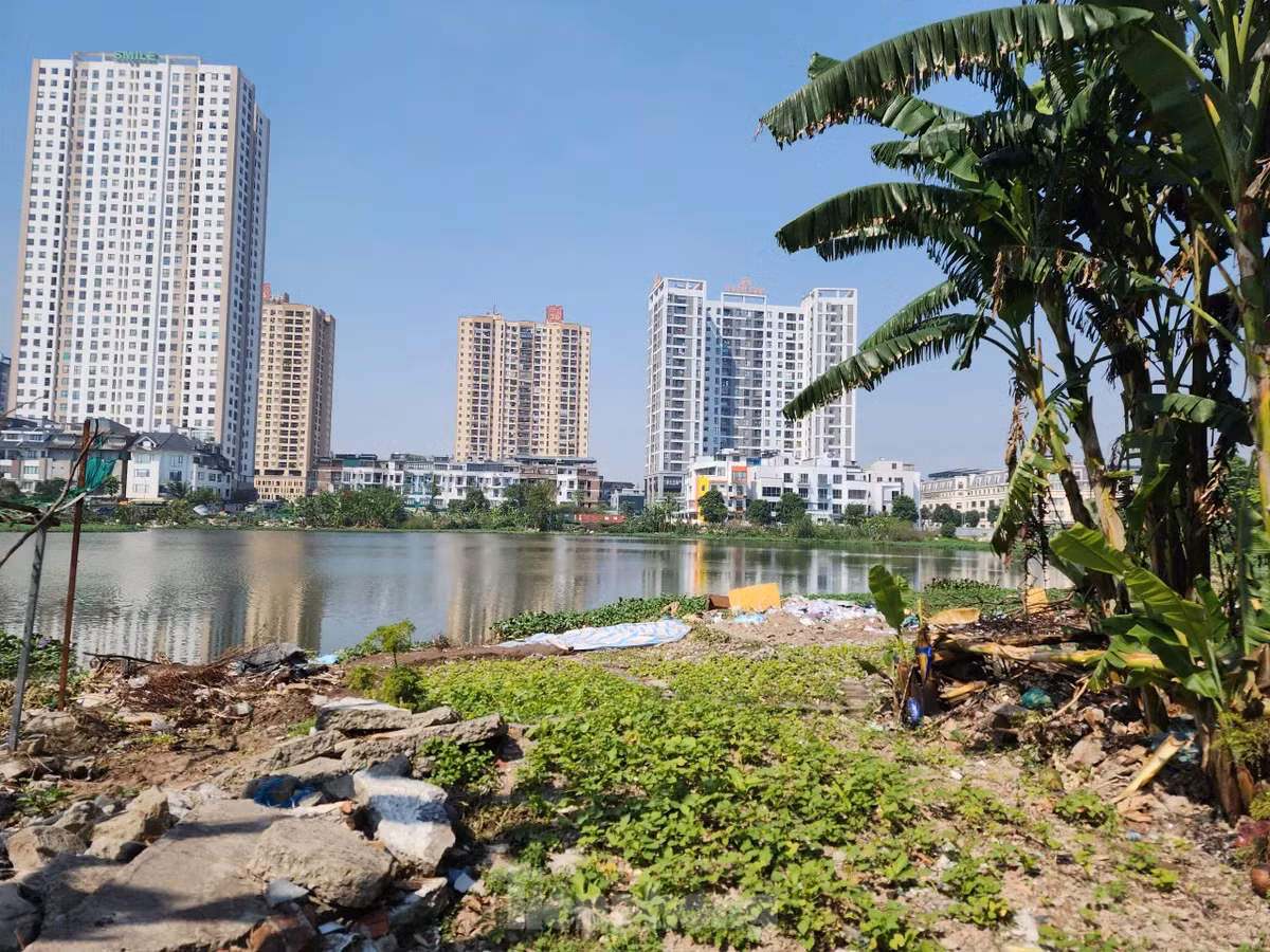 Dư luận lo ngại, Hà Nội sẽ dần mất đi những "lá phổi xanh" trước những hành vi lấn chiếm ao hồ đang diễn ra phức tạp.