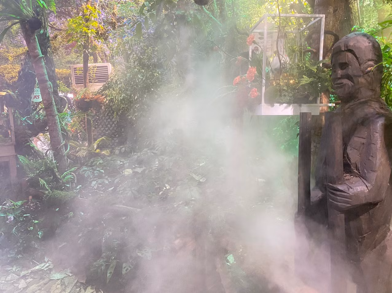 Khung cảnh mờ ảo, tái hiện rừng Sâm Ngọc Linh K5 dưới tán rừng tự nhiên.