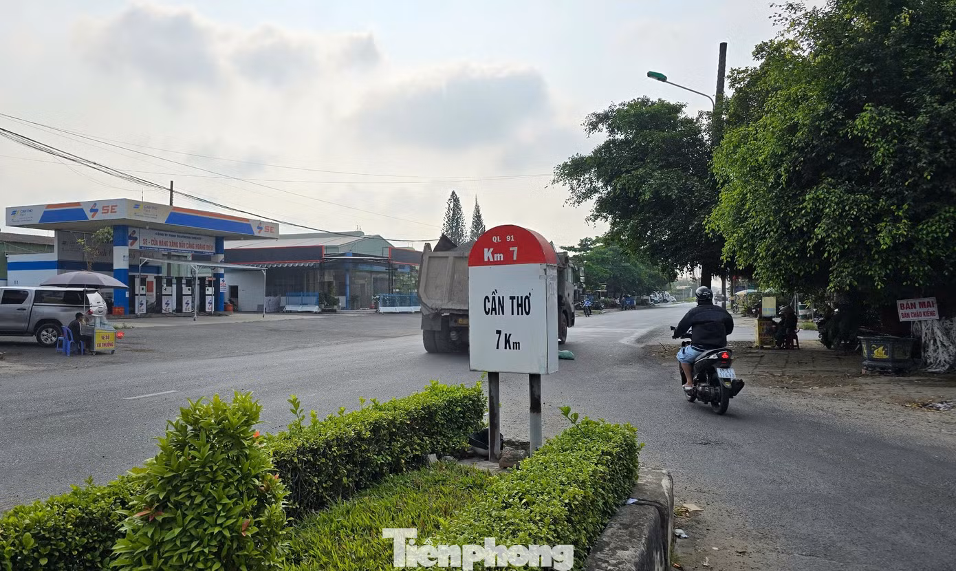 tp-ql91-4268-2034.jpg