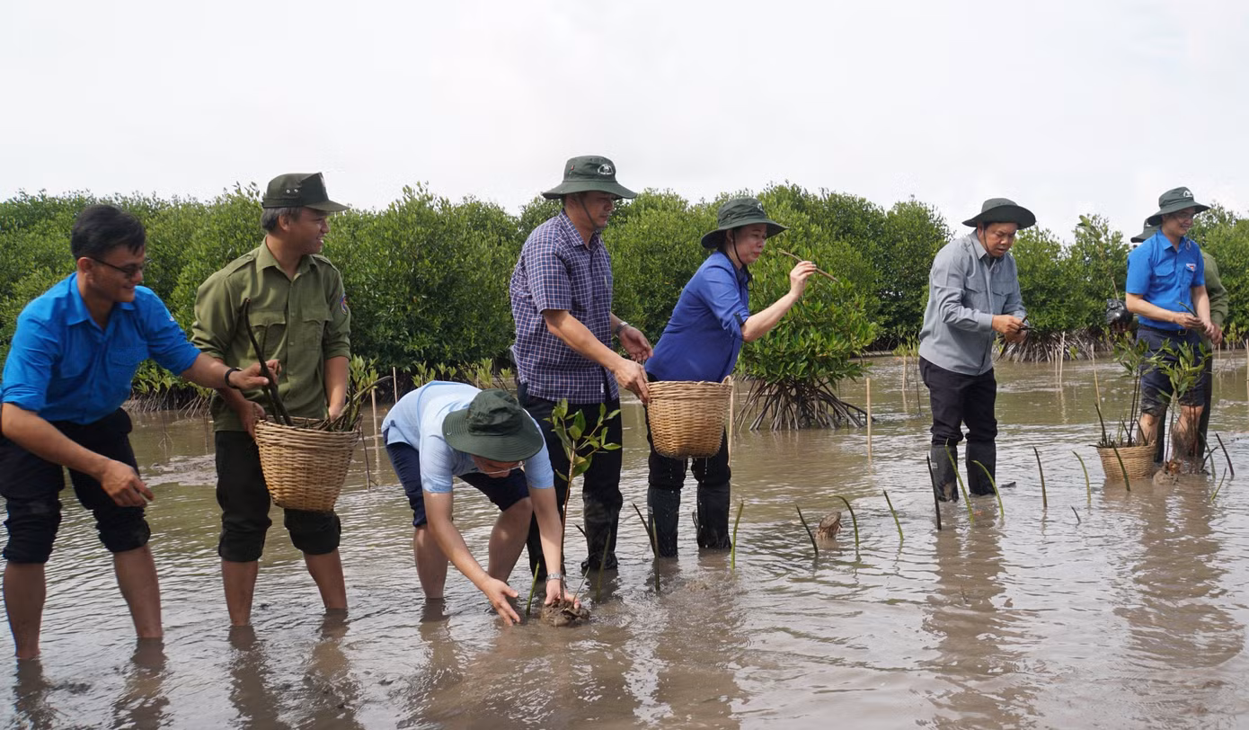 Phó Chủ tịch nước Võ Thị Ánh Xuân, Bí thư thứ nhất T.Ư Đoàn Bùi Quang Huy tham gia trồng cây tại Vườn Quốc gia Mũi Cà Mau.
