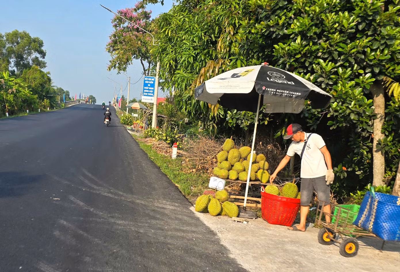 Vắng bóng thương lái thu mua nên nhiều nhà vườn đem sầu riêng ra bán lề đường với giá đa số ở mức 30.000 đồng/kg, trong khi cách đây hơn 1 tháng, giá bán tại vườn khoảng 60.000-70.000 đồng/kg.