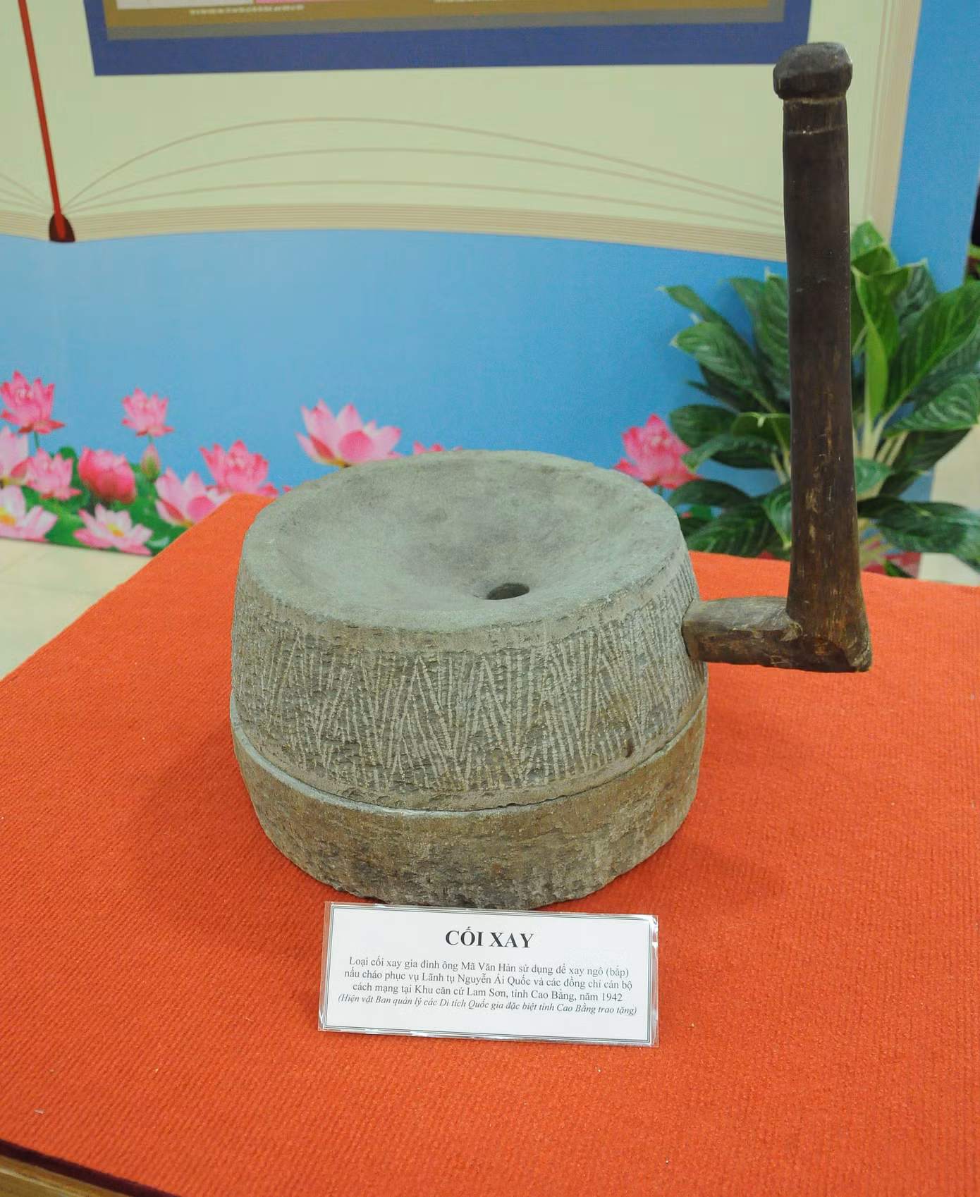 Ảnh: Cảnh Kỳ
