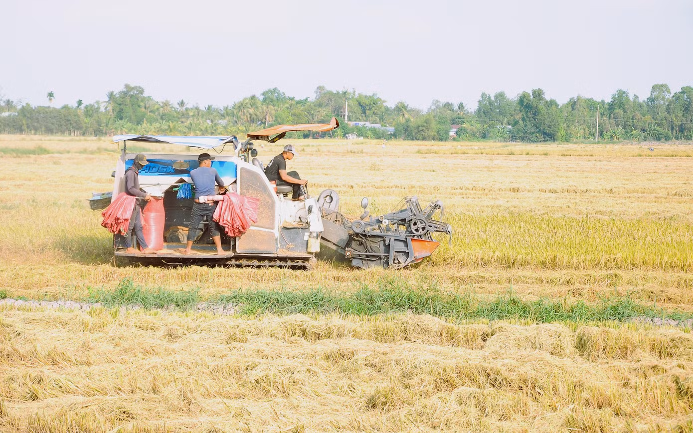 Nông nghiệp tiếp tục là điểm sáng của ĐBSCL. Ảnh: Cảnh Kỳ