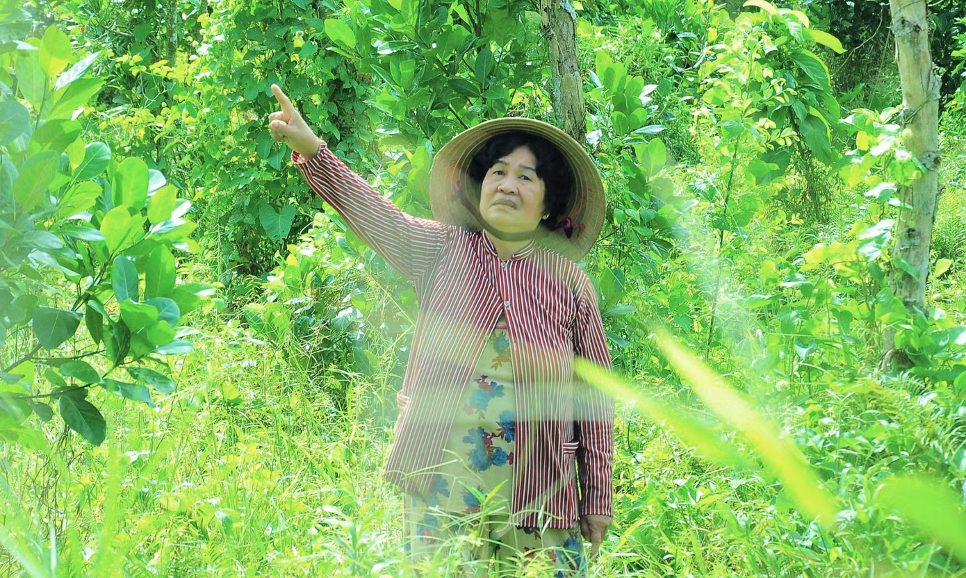 Bà Nguyễn Thị Thảo giữa vườn mít đã bỏ hoang nhiều tháng nay. Ảnh: CK