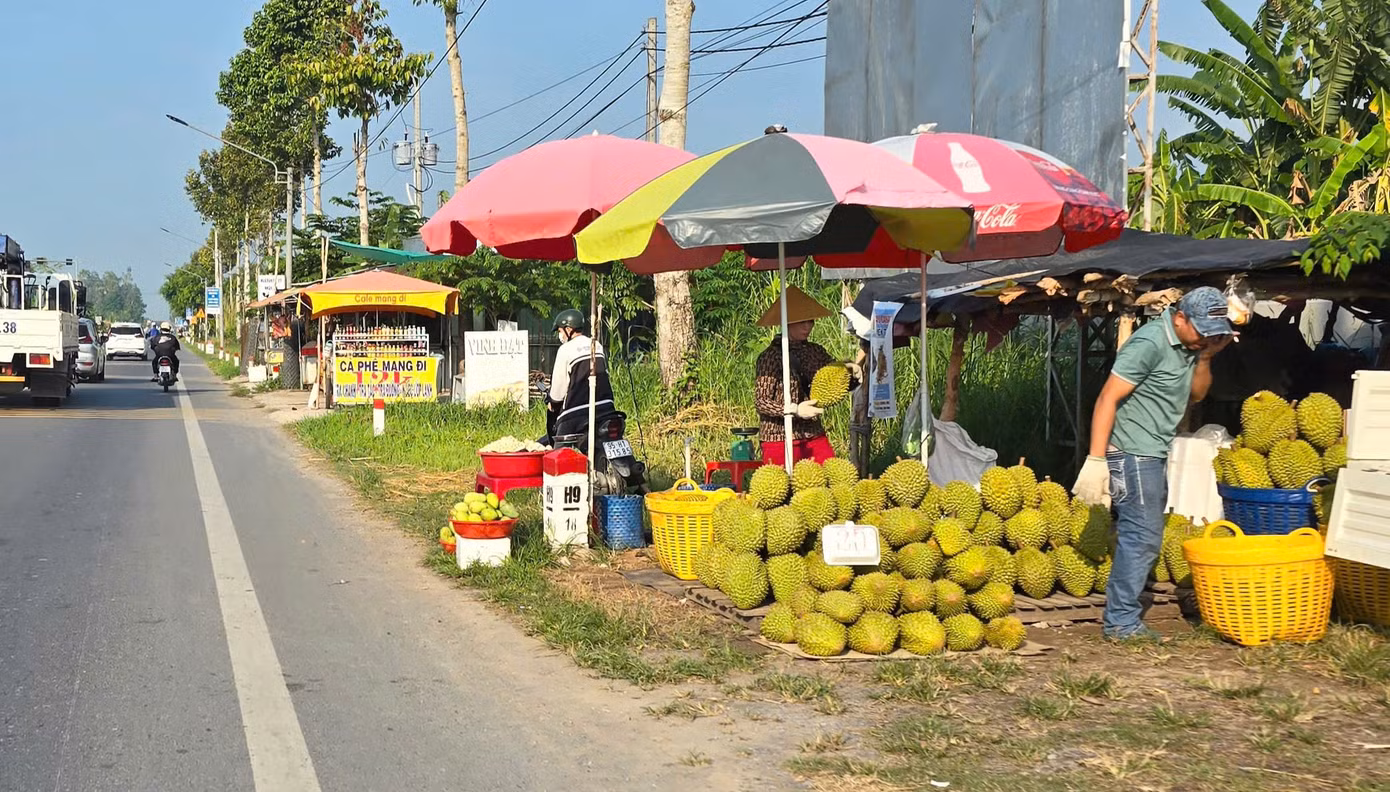 Tại Hậu Giang, đại diện Sở Nông nghiệp và Môi trường cho biết, sầu riêng là loại cây có giá trị kinh tế cao nên những năm gần đây được nhiều nông dân lựa chọn. Tuy nhiên, thị trường sầu riêng cũng gặp phải những thách thức, nhất là về chất lượng và đầu ra, giá sầu riêng giảm mạnh do nguồn cung ngày càng lớn từ việc gia tăng diện tích, trong khi thị trường nhập khẩu siết chặt kiểm soát chất lượng. Ngành chức năng khuyến cáo nông dân canh tác đảm bảo an toàn thực phẩm theo tiêu chuẩn quốc tế, nước nhập khẩu để đáp ứng thị trường tiêu thụ...
