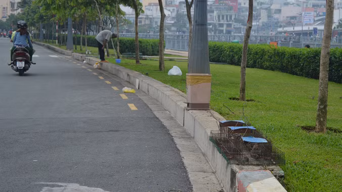 Thợ săn thành phố ảnh 3