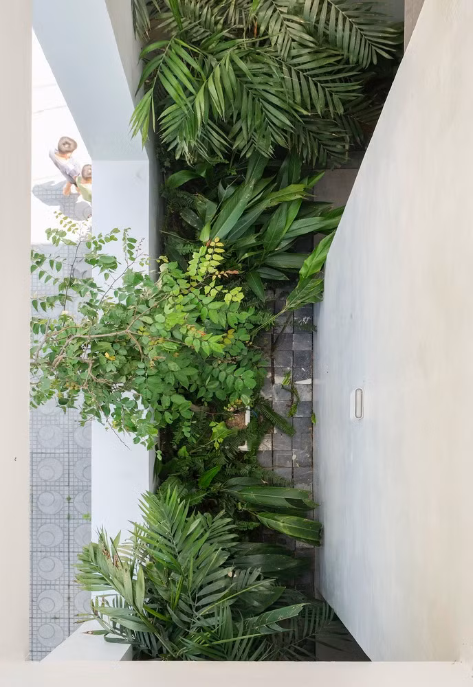 Để giảm nhiệt độ cho toàn bộ cấu trúc vào mùa hè, cũng như giữ ấm cho không gian vào mùa đông, kiến trúc sư tạo khoảng trống và trồng cây xanh ở những khu vực tiếp xúc với ánh sáng mặt trời. Những không gian đệm này góp phần làm mát và tạo cảnh quan bên trong và bên ngoài công trình. Nhờ giải pháp cây xanh, hầu hết không gian bên trong ngôi nhà đều nhận được ánh sáng và thông gió tự nhiên.