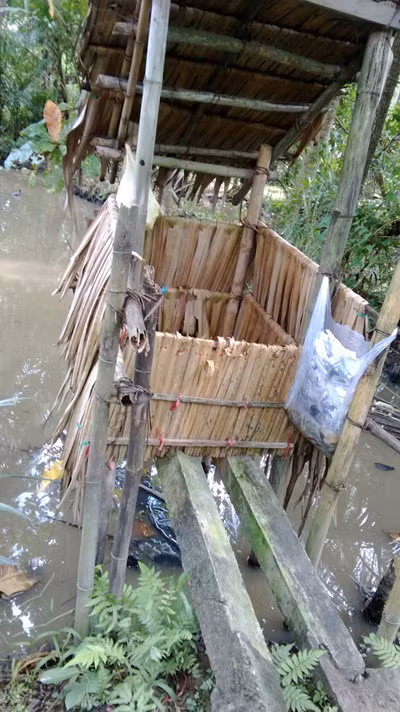 Hệ luỵ khó lường từ thực trạng “tiện” đâu phóng uế đấy ảnh 1