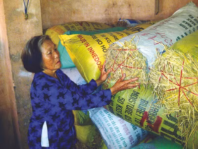  Bà Nùng, ngót 30 năm gắn bó với tình tro bụi. Ảnh: Trần Tuấn 